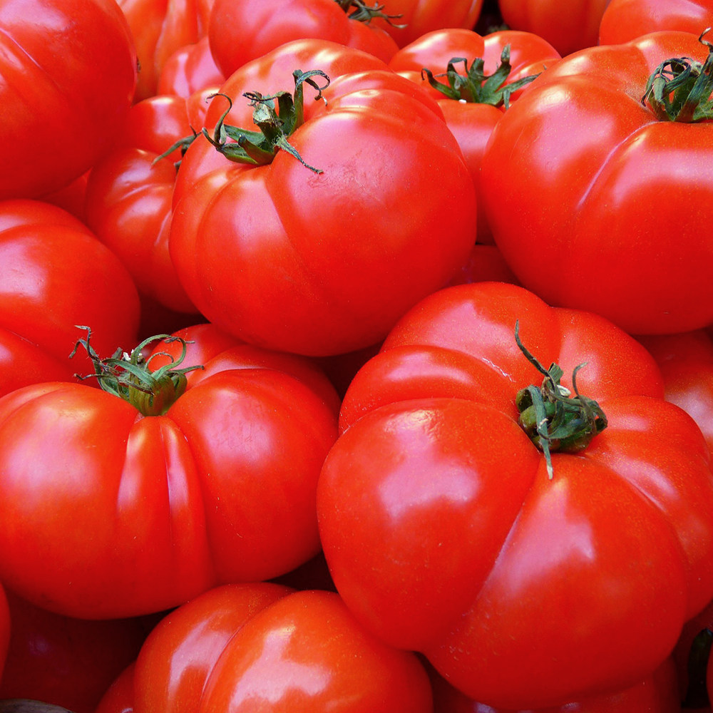 Tomaten